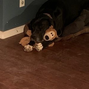 Meet your Posher, Ellen